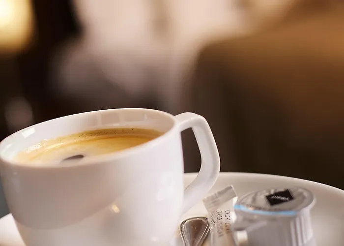 酒店 克里索精品酒店 科希策